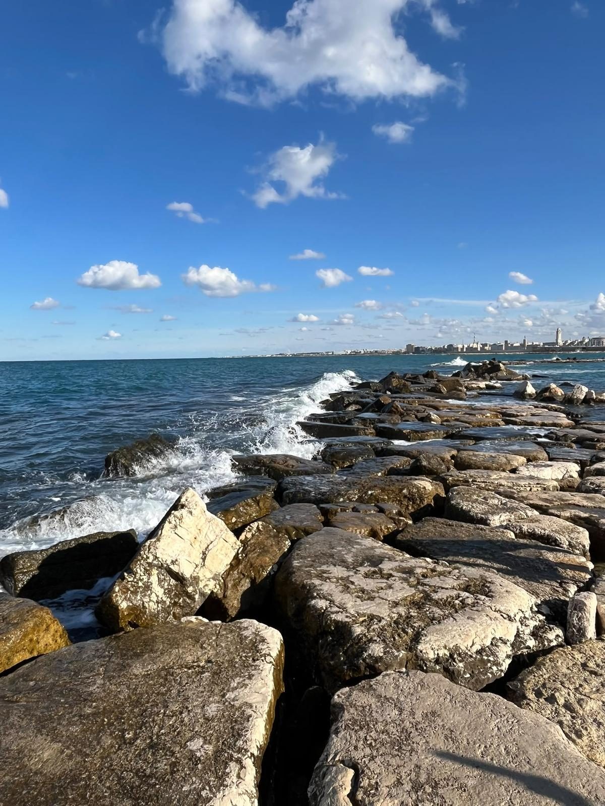 Bari, Italy — PRO-ARMOUR project contacts